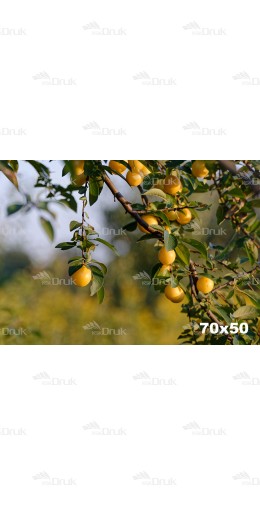 Tło kulinarne K_268